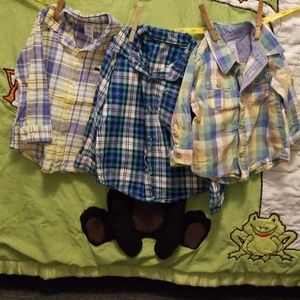 18 m Button ups